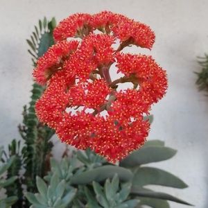 Meet your Posher, Annah